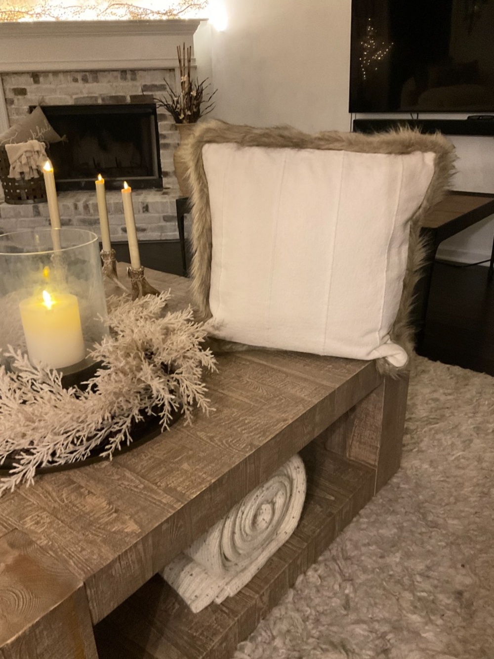 POTTERY BARN MUDCLOTH FUR ACCENT PILLOW (20X20)